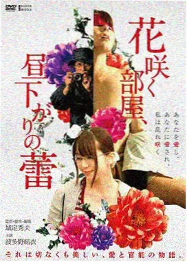 哥斯拉大战金刚2 潦草影视免费看